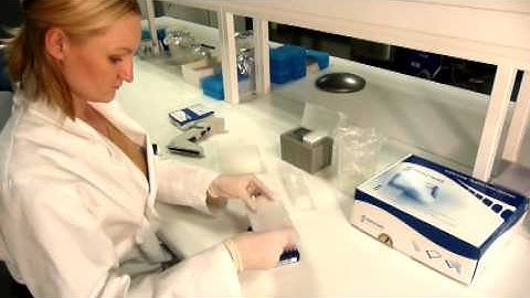 PathoProof Mastitis PCR Assay