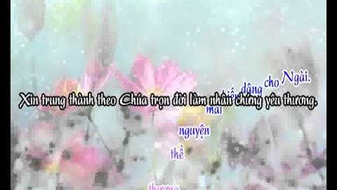 Tâm Tình Tạ Ơn - karaoke playback - http://songvui.org