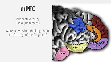 mirror neurons 16min
