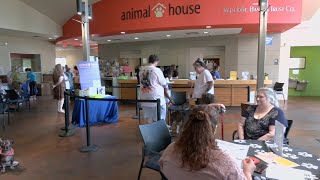 Louisville's Animal House Adoption Center hosts free adoption event in effort to combat overcrowding