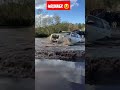 قوة فوررانر الجميلة  4