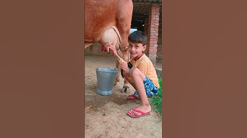 Thumbnail of small girl vfhf gfh #love #song #funny