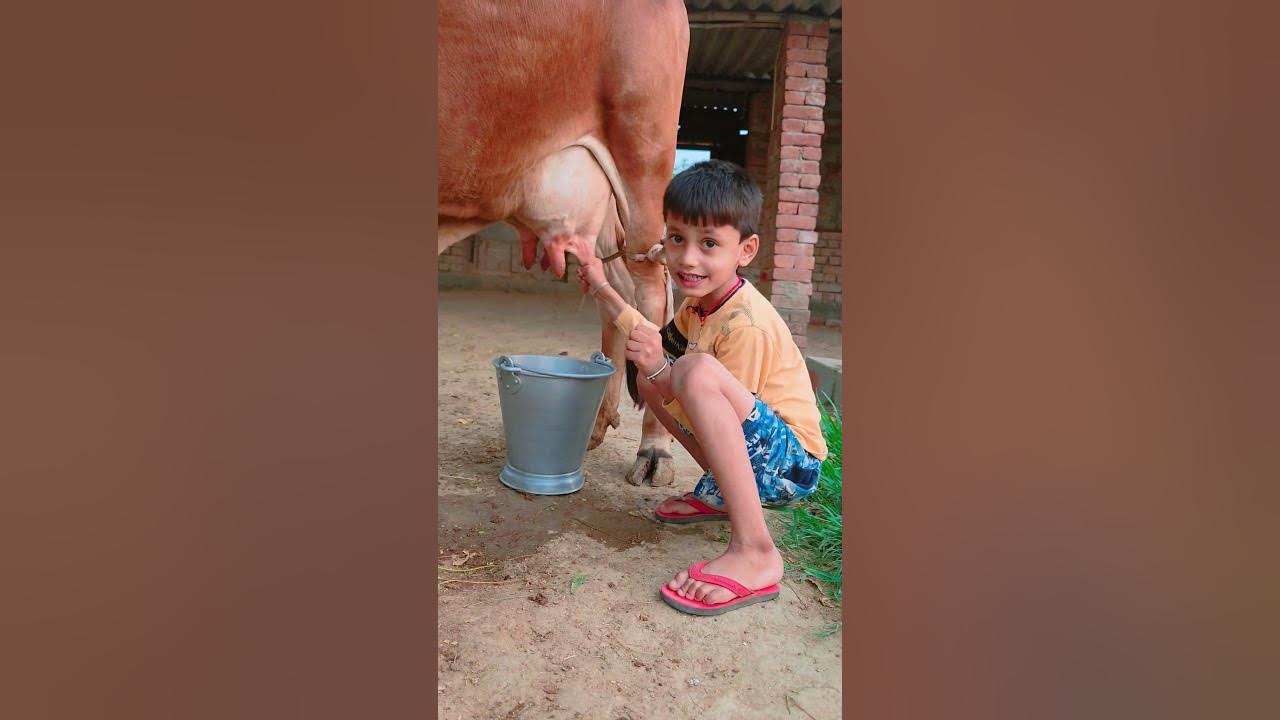choti choti gaiya vfhf gfh #love #song #funny