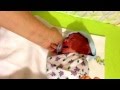 Ещё один племянник Михаил Саныч