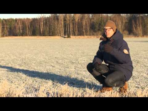 Video: Hur kan vegetation minska översvämningar?