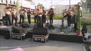 Los Caballeros - El Mariachi loco - live - Cinco de Mayo Fiesta by mbeslic 6,062 views 8 years ago 2 minutes, 49 seconds