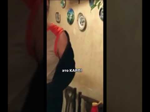 Это карп #реальныепацаны #арменка #тнт #юмор #приколы2021 #shorts