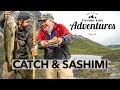 Catch & Sashimi 🍽 Dorsch & Heilbutt vom Ufer + Zubereiten 🍴| Catch & Cook