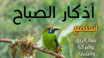 أذكار الصباح - راحة نفسية لا توصف بصوت القارئ علاء عقل | Morning Athkar - Dzkir Pagi by Alaa Aql