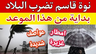 نوة قاسم تضرب البلاد بداية من هذا الموعد بأمطار غزيرة وعواصف شديدة