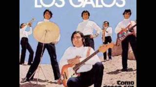 Video thumbnail of "Los Galos - Que Esperas de mí"