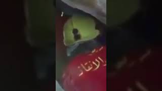 طفل جوا حجاره قطاره علي  (ع) في كربلاء المقدسه دخيلك يا حسين    (ع)