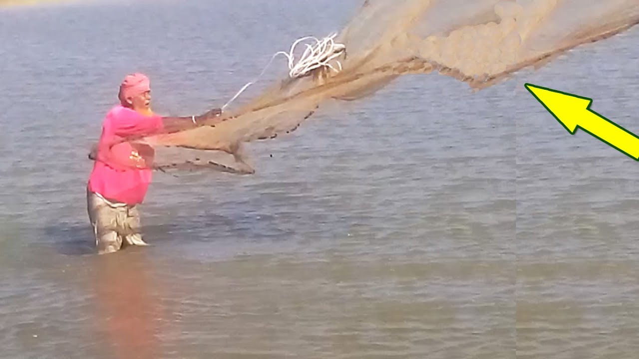 Cast Net Fishing in Village Small River / Net Fishing With Beautiful Nature / Traditional Fishing BD