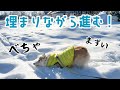 雪に埋まりながらも追いかけるシニア犬のガッツが凄い！