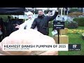 Heaviest Danish pumpkin of 2025 crowned