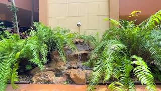 15499 N Miami Lakeway N #203 Miami Lakes, FL 33014