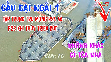 Cầu Đại Ngãi 1 Tập Trung Trụ Móng P24 và P23 Khi Thủy Triều Rút Lắp Ráp Cốt Thép Lớp Thứ 8