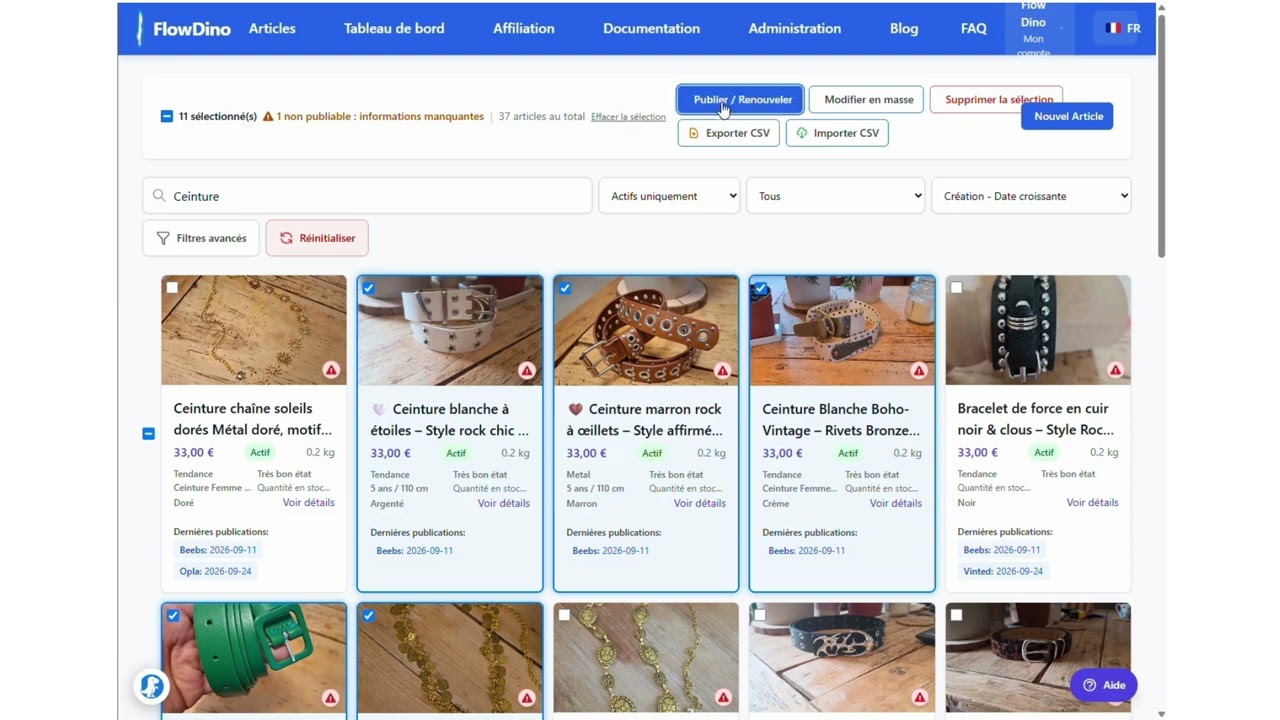 FlowDino : Choix des Articles et publication