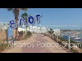 🏖ОТДЫХ, который мы долго ждали🏝ЕГИПЕТ. ШАРМ-ЭЛЬ-ШЕЙХ. ОТЕЛЬ Albatros Palace