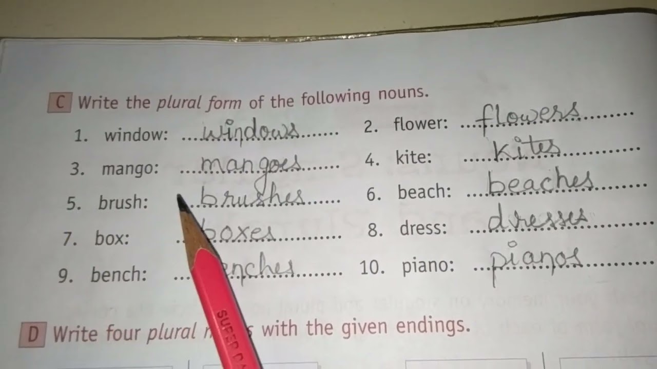 C Write The Plural Form Of The Following Nouns YouTube