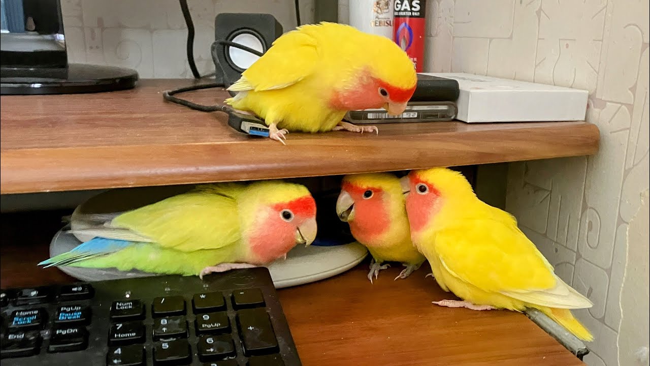 July 2025 Too late report