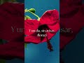 El día que floreciste sin darte cuenta | Mujer y Salvaje #shorts