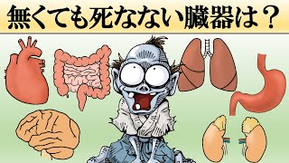 無くても生きていける内臓とは？【科学】