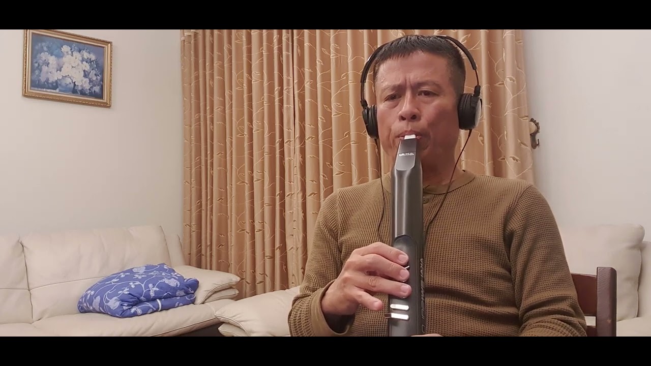 The Lonely Shepherd/Sáo kèn điện tử HL/EWI Solo, Panpipes, Tone Bb (07.