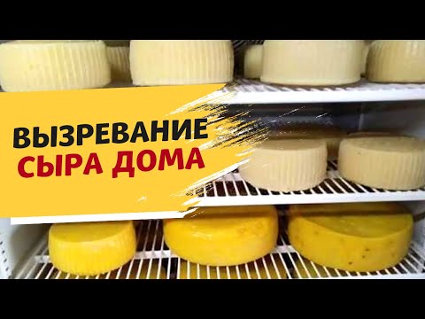 Идеальные условия для созревания сыра: где взять камеру для вызревания сыра
