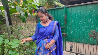 Aserenga Senehi ( Film - Chandrawali ) | Zubeen Garg | Prakriti Sarma | Cover By Rajashree Dance 💕 Thumb