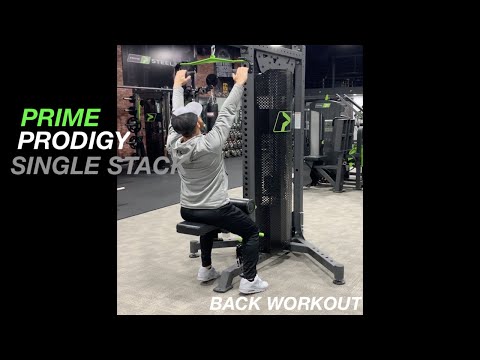 Prodigy Selectorized Single Stack - Back Workout 