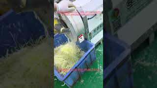 Automatic ginger cutting machine ginger slicing machine ginger shredding machine ginger cutter