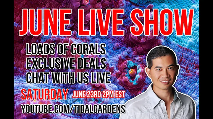 Tidal Gardens June 2018 Live Show - DayDayNews