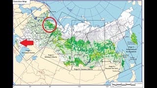 Карта старых лесов России