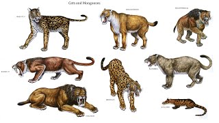 The Prehistoric BIG Cats that Roamed North America