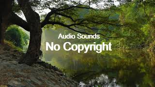 Blue Lagoon- Bonsaye (Vlog No Copyright Music)