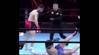 Персиский дагестанец бой Ким бокс