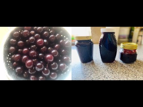 Video: Komposisi Kimiawi Penuh Dari Cherry Plum