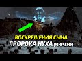 Как пророк Иса (мир ему) оживил сына пророка Нуха (мир ему)