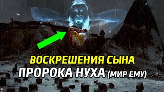 Как пророк Иса (мир ему) оживил сына пророка Нуха (мир ему)