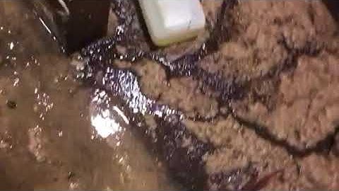 Sewage clean up part 2