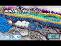 Curated Bead Box | October 2023 | Seriously Sassy