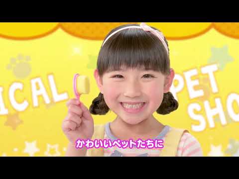 かえちゃOh!! まほうのペットやさん あそびかた