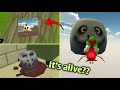 ALL NEW EASTER EGGS 5 0 03 IN CHICKEN GUN CHICKEN GUN NEW ENTITY