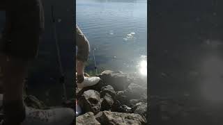 Первая рыба в Тернопольском озере.