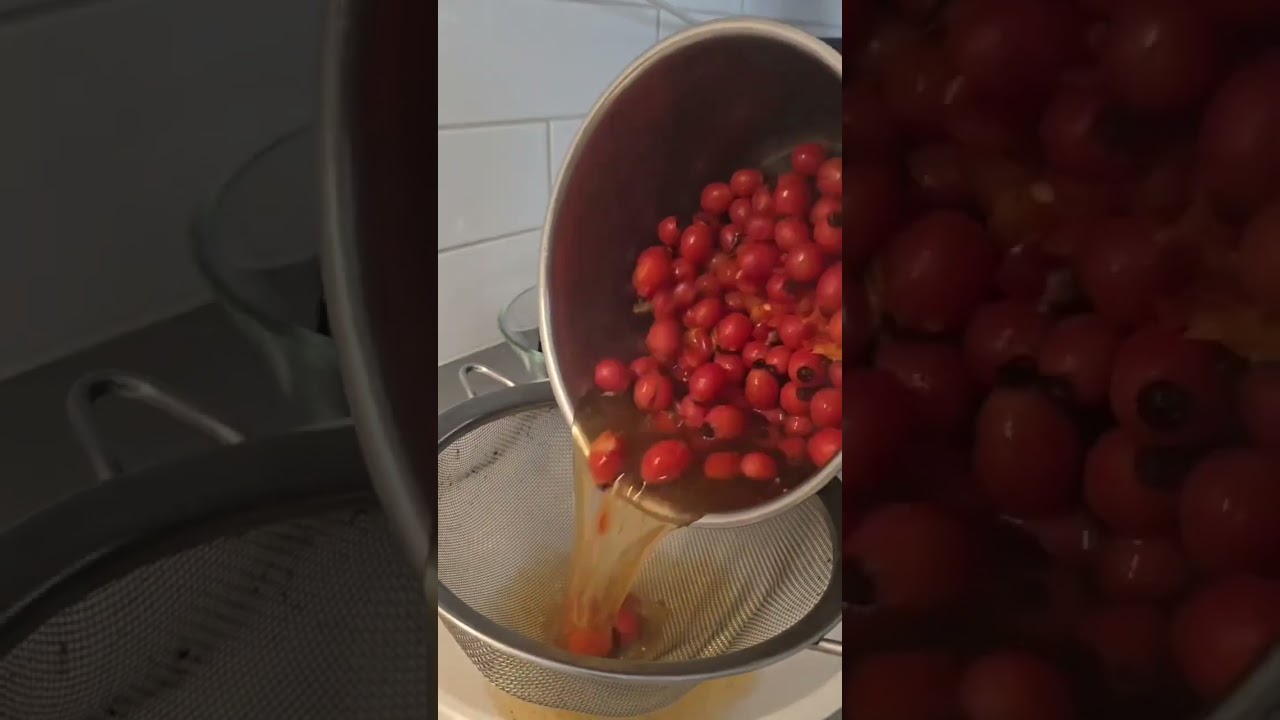 نیپون   میوه وحشی