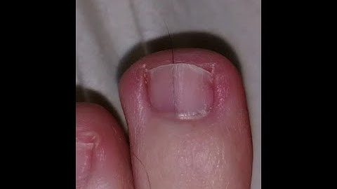 All Preview 2 Deepfakes That I Made Part 5 (Reupload) in Spiffy Pictures Effect (My Version)