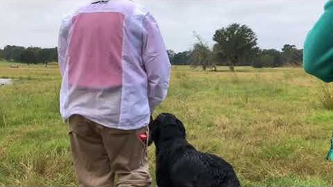 2017 NRC 2nd Series TD#2