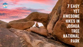 7 Awesome Beginner Hikes Joshua Tree National Park | California by That Adventure Life 1,294 views 1 month ago 7 minutes, 2 seconds