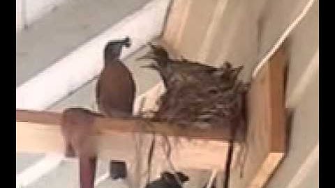 This picture message or video message was sent using Multimedia Messaging Service.     To...